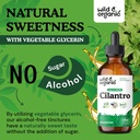 wild-organic-cilantro-tincture---herbal--6.jpg