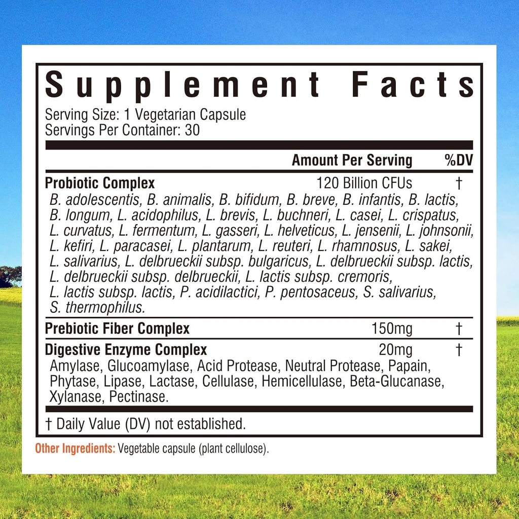 Innate Vitality Probiotics 120 Billion CFUs for Men & Women, 34 Strains with Prebiotics & Digestive Enzymes, Immune & Digestive Health, Delayed Release, Shelf Stable, 30 Vegan Capsules 3