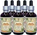 Black Currant (Ribes nigrum) Tincture, Dried Leaves Liquid Extract (Brand Name: HerbalTerra, Proudly Made in USA) 20x4 fl.oz (20x120 ml) 4