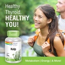 Solaray Kelp 550 mg with Folic Acid for Healthy Thyroid Function, Energy & Metabolism Support | Non-GMO | 180 VegCaps 4