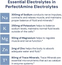 BodyHealth PerfectAmino Electrolyte Powder No Sugar, Hydration Fasting Keto Zero Sugar Electrolytes Drink Mix with Trace Minerals - Lemon Lime - 30 Servings 4