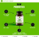 Antler Farms - Raw Probiotics for Digestive Health 60 Billion CFU, 60 Capsules - Prebiotics & Probiotics with Digestive Enzymes, 100% Vegan, Non-GMO, Shelf-Stable for Women & Men 5