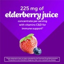 Vitafusion Elderberry Gummy Vitamins, 90ct Elderberry Gummy Vitamins, Chewables, 90 Count 6