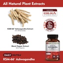 DailyNutra KSM 66 Ashwagandha (90 Capsules) and Mushroom Cacao Mix (16oz) Bundle for Relaxation and Focus 6