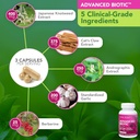 Vital Plan Immune Support Supplements by Dr. Bill Rawls – Immune Boost Bundle w/Japanese Knotweed, Cat’s Claw, Chinese Skullcap & Reishi Mushroom 4