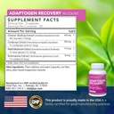 Vital Plan Immune Support Supplements by Dr. Bill Rawls – Immune Boost Bundle w/Japanese Knotweed, Cat’s Claw, Chinese Skullcap & Reishi Mushroom 5