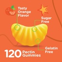 Viteey Kids Vitamin C Gummies 75mg, with Echinacea - Sugar Free - Immune Support for Kids, Toddlers, & Teens - Vegan, Gelatin Free, Gluten Free, GMO Free - Tasty Orange Flavored Immunity Gummy 4