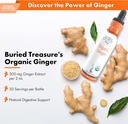 Buried Treasure Ginger Drops - Made with Organic Ginger Root for Digestive Support, Upset Stomach Settle Drops, No Sugar, Alcohol Free, Versatile Use for Ginger Tea or Direct Consumption, 30 Servings 4