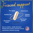 Thermogenic Multi Collagen Burn Capsules - Hydrating Hyaluronic Acid, Marine Collagen Supplements for Women and Men & Vitamin C - Hydrolyzed Collagen Complex 5 Types- 2-Pack, 180 Pills 4