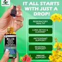 16-in-1 Organic Mullein Drops for Lungs | Mullein Leaf Extract w/Oil of Oregano with Black Seed Oil | Non-GMO&Gluten Free Respiratory Health Liquid Drops | Mullein Supplement Cleanse for Smokers 6