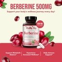 High Strength Berberine Supplement 500mg - Once Daily Potent Berberine 500mg Antioxidant Quercetin Supplement for Heart Aging and Vitality Support - Vegan Friendly & Made in The USA (180 Servings) 4