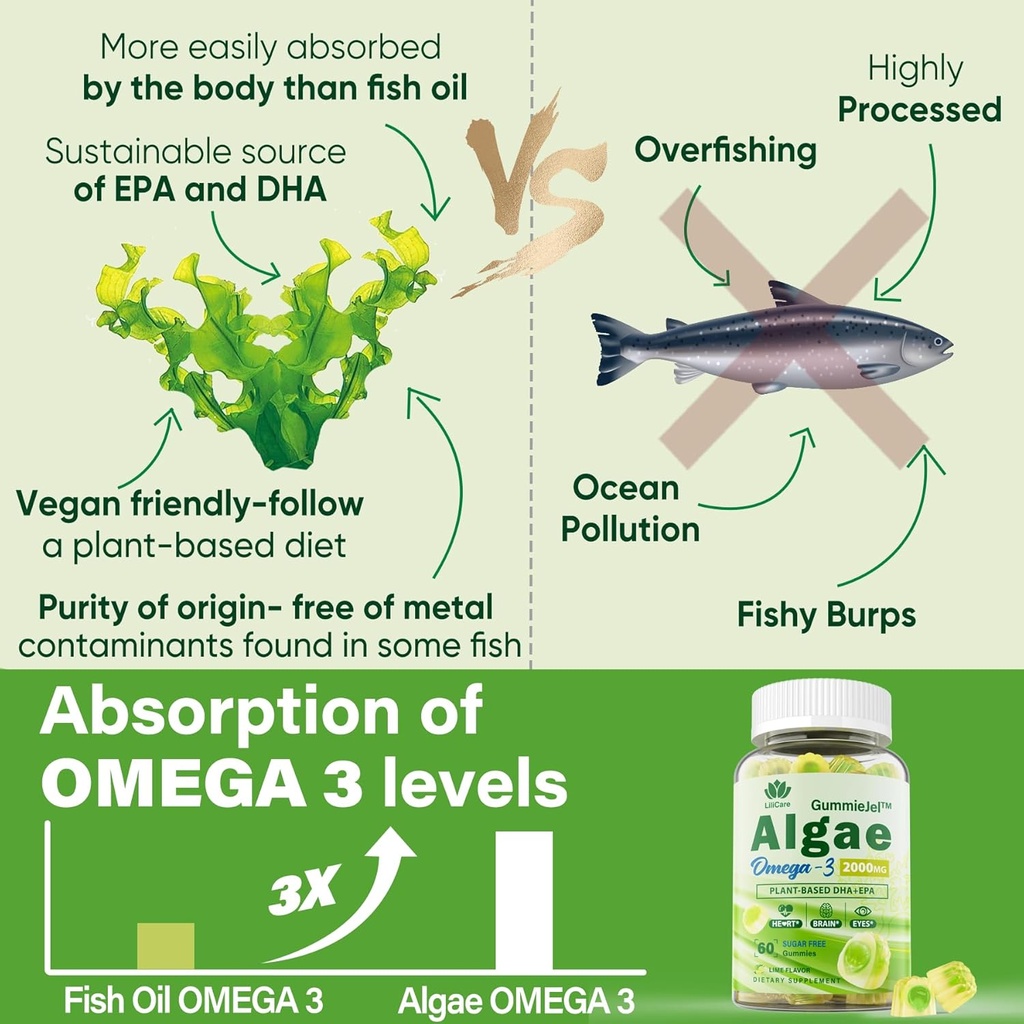 Sugar Free Omega 3 Fatty Acid 2000mg With 640mg DHA & 290mg EPA, Multivitamin, CoQ10, Astaxanthin + Ginger Filled Gummies for Nausea - Stomach Relief - Ultra Absorption for Digestive Support 6