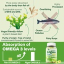 Sugar Free Omega 3 Fatty Acid 2000mg With 640mg DHA & 290mg EPA, Multivitamin, CoQ10, Astaxanthin + Ginger Filled Gummies for Nausea - Stomach Relief - Ultra Absorption for Digestive Support 6