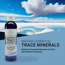 Waiora Essential Trace Minerals | Help Replenish Lost/Depleted Mineral | 60+ Ionic Trace Minerals | Support Body’s Vital Functions, pH Balance | Plus Electrolytes for Hydration (1 Bott / 48 serv) 4