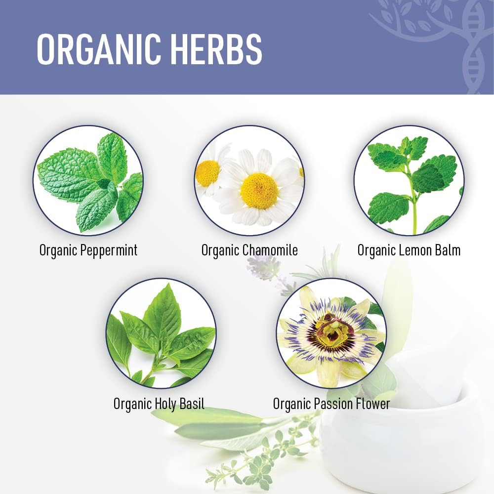 Zen Sleep | Non-Addictive Sleep Aid w/Adrenal Support. Contains Magnesium and Organic Herbs; Chamomile, Lemon Balm, Passion Flower, No melatonin 6