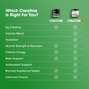 Optimum Nutrition Micronized Creatine Monohydrate Powder, Unflavored, 240 Servings, 1200 Grams (Packaging May Vary) 5