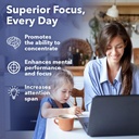 LifeSeasons - Focus-R - Concentration Support Supplement - All Ages - Enhances Mental Performance & Focus - Increases Attention Span - L-Theanine, Kava Kava, Bacopa, Vitamin B & More - (60 Capsules) 3