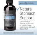 Natural Stomach Support & Immunity Booster - with Elemental Silver & Peppermint Essential Oil to Help Ease Stomach Discomfort - 4 fl. Oz 4