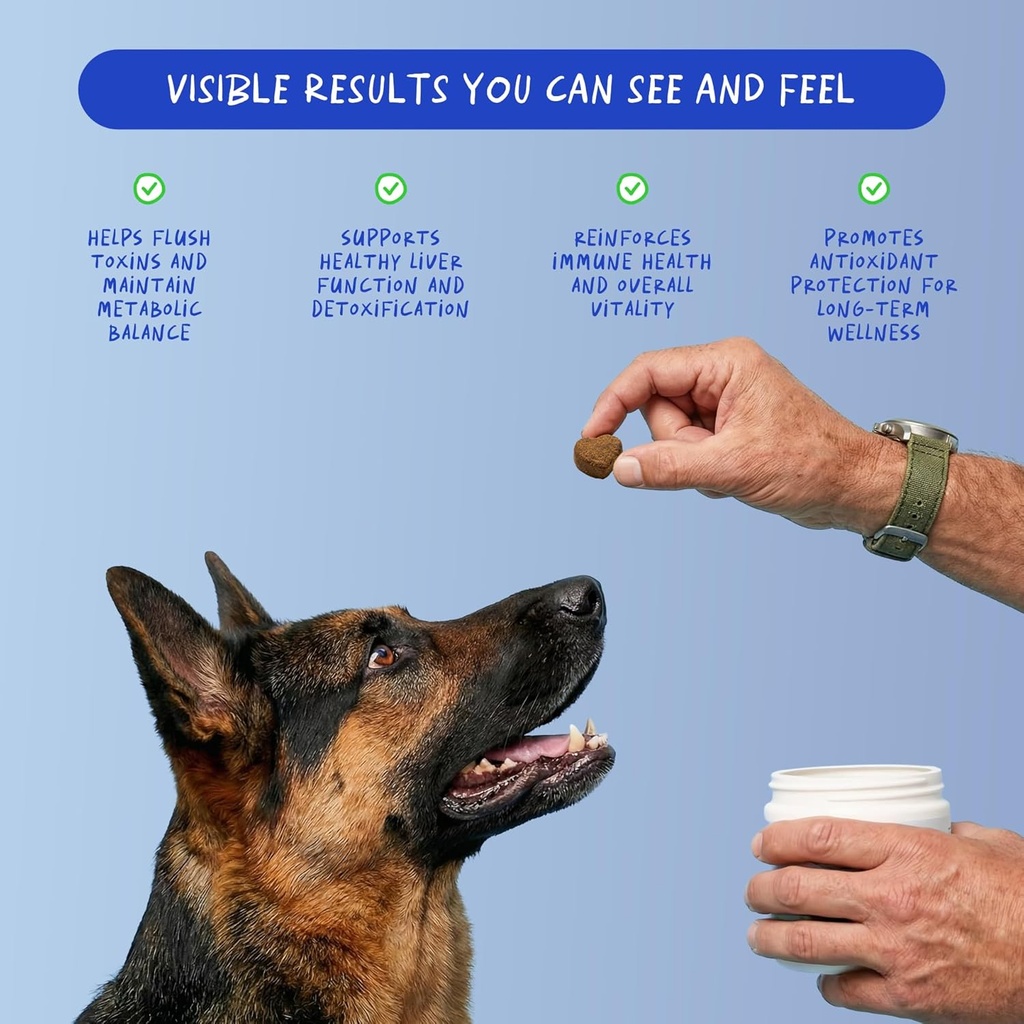 Milk Thistle for Dogs - 90 Soft Chews - Liver and Kidney Support - Hepatic Support with EPA & DHA - Detox - Liver Supplement for Dogs with Choline and L-Arginine. 4