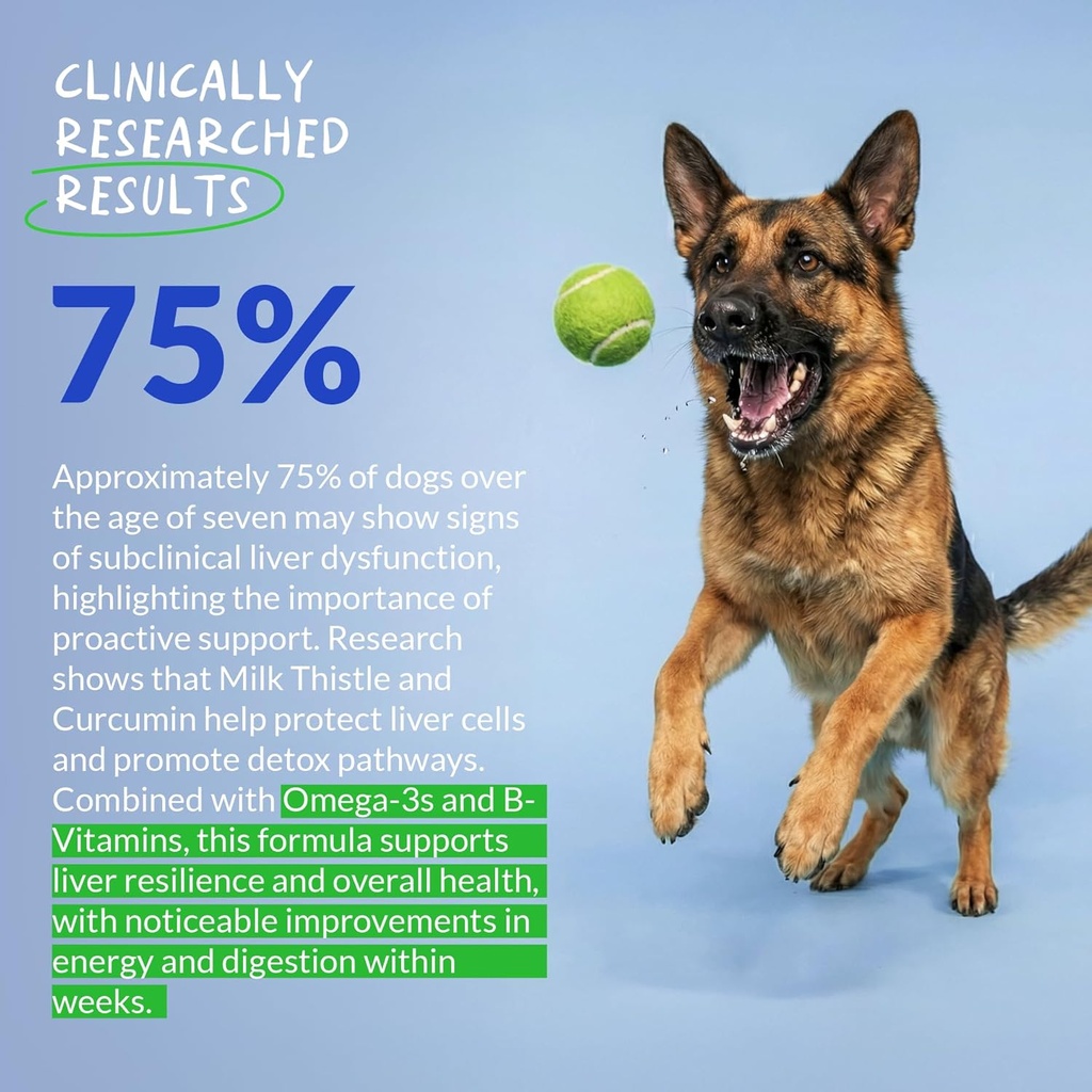 Milk Thistle for Dogs - 90 Soft Chews - Liver and Kidney Support - Hepatic Support with EPA & DHA - Detox - Liver Supplement for Dogs with Choline and L-Arginine. 5