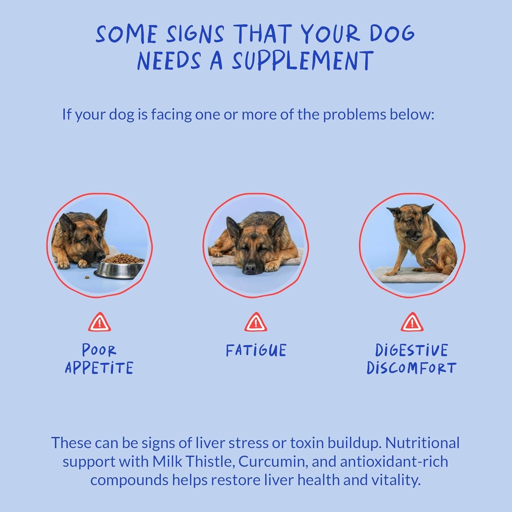 Milk Thistle for Dogs - 90 Soft Chews - Liver and Kidney Support - Hepatic Support with EPA & DHA - Detox - Liver Supplement for Dogs with Choline and L-Arginine. 6