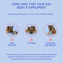 Milk Thistle for Dogs - 90 Soft Chews - Liver and Kidney Support - Hepatic Support with EPA & DHA - Detox - Liver Supplement for Dogs with Choline and L-Arginine. 6