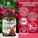 Cranberry Supplement Pills 25,000mg - High Potency Vitamin C Cranberry for Women & Men, Urinary Tract Health Support, Sugar Free, Gluten Free, Non-GMO, Cranberry Concentrate Extract - 120 Capsules 5