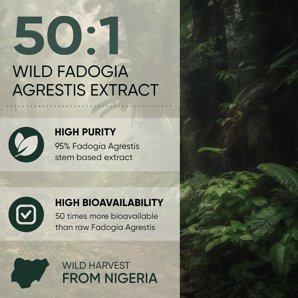 Jungle Powders Fadogia Agrestis Extract for Men 50:1 Concentration 313 Servings - 5 Ounces of Pure Nigerian Fadogia Supplement Traditional Mens Health Support for Drive & Passion Contains Maltodextrin 5