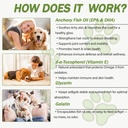 Omega 3 Fish Oil for Dogs and Cats, Dog & Cat Fish Oil Pet Supplement, Skin and Coat Supplement for Shedding, Dry Itchy Skin and Allergies, Rich in EPA & DHA with Omega 3 Fatty Acids 4