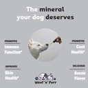 Zinc for Dogs - Dog Zinc Supplement - Helps to Support Healthy Skin, Coat, Immune Health & More - Dog Zinc - Dog Skin and Coat Supplement - Skin and Coat Supplement for Dogs - 1 fl oz - Bacon Flavor 4