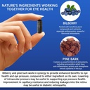 Vision Defender BP Eye Supplement: Bilberry and Pine Bark Extracts for Eye Pressure and Eye Health Support (60 Vegan Capsules) 4