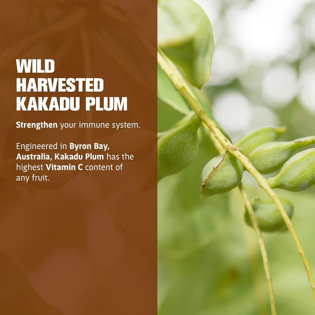 LIFE CYKEL AM Bundle- Energy Support, Immune System Support, Hair Skin & Nails Health- 100% Organic Mushrooms- Cordyceps Turkey Tail & Shiitake w/ Kakadu Plum, Made in the US, Non-GMO - 3 ct(2oz each) 6