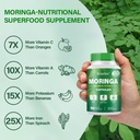 Moringa Capsules | 800mg Pure Moringa Powder Capsules – Supports Energy, Skin & Gut Health, Immune System – Green Superfood with Vitamins & Amino Acids (90 Caps) 6