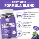 Melatonin 20mg Gummies for Adults (2 Packs) Extra Strength with L-Theanine, Ashwagandha, Magnesium, Turmeric, GABA, Lemon Balm and Chamomile for Supports Healthy Circadian Rhythm, Grape Flavor 6