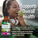 Nature's Answer Garlic Extract | Promotes Overall Health & Well-Being | Made with Low Organic Alcohol | Gluten-Free, Non-GMO & Kosher Certified | 1oz 4