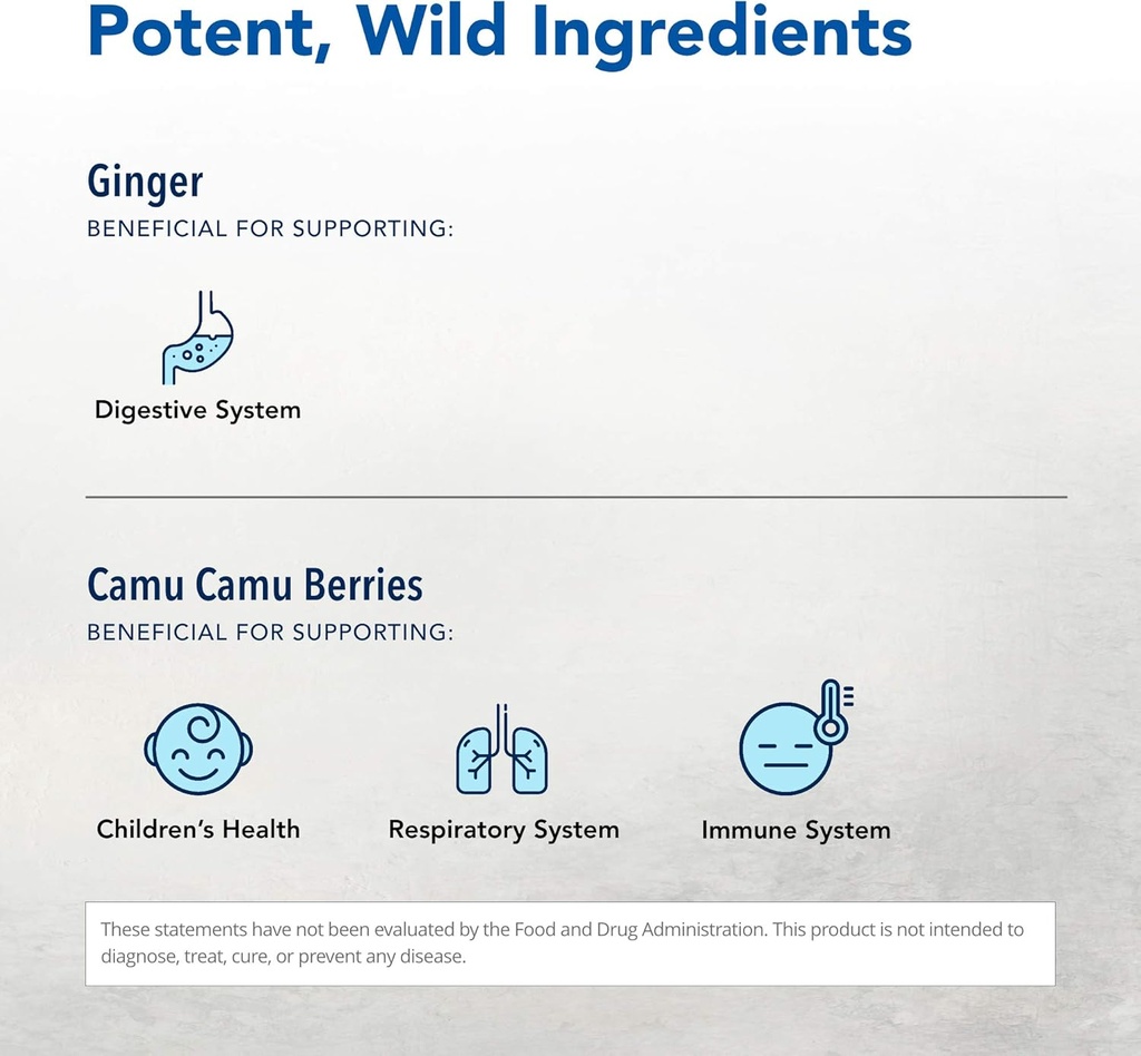 NORTH AMERICAN HERB & SPICE Inflam-EEZ - 90 Capsules - Supports Healthy Immune & Inflammatory Response - Ginger Root, Camu Camu Berries, Bromelain & Papain Plus - Non-GMO - 45 Total Servings 4