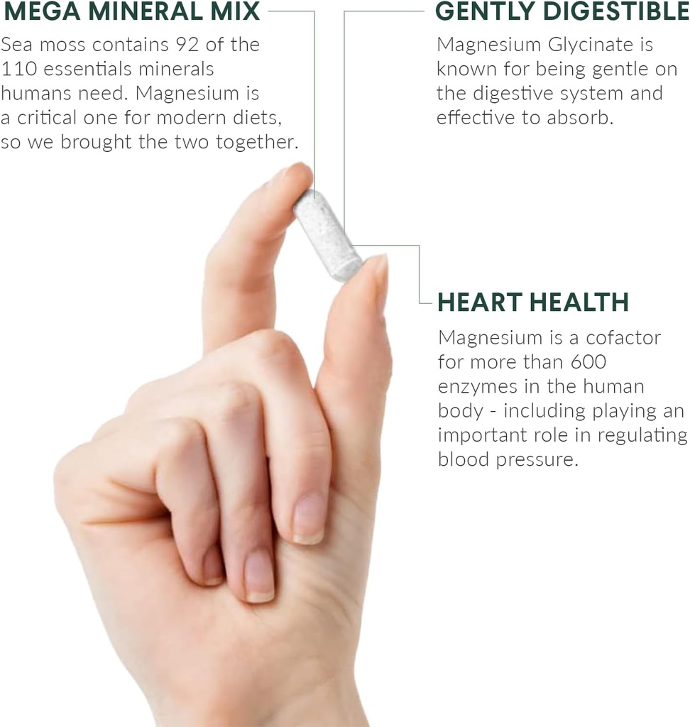 Nutritional Roots - Magnesium + Irish Sea Moss - 350mg Magnesium Glycinate & Organic Irish Sea Moss - Essential Minerals - Supports Heart & Bone Health - Dietary Supplement - 30 Servings - 60 Capsules 4