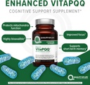 Quality of Life VitaPQQ with MicroActive CoQ10-SR Premium Supplement - Anti Aging, Memory, Energy, Focus, Cognitive and Heart Health - 30 Vegicaps 6