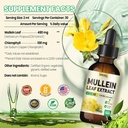Mullein Drops for Lungs Supplement: Organic Mullein Leaf 30:1 Extract Tincture with Chlorophyll - Herbal Supplement Support Lung Cleanse & Respiratory Function - Non-GMO, Vegan - 4 Fl Oz 3