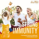 Joyli Superfruit Gummies - Sugar-Free Fruit Multivitamin Gummies for Adults - Natural Gummy Vitamins for Women & Men with Goji, Elderberry, Vitamins A, C, D & E - Supports Immunity, Digestion & Energy 5