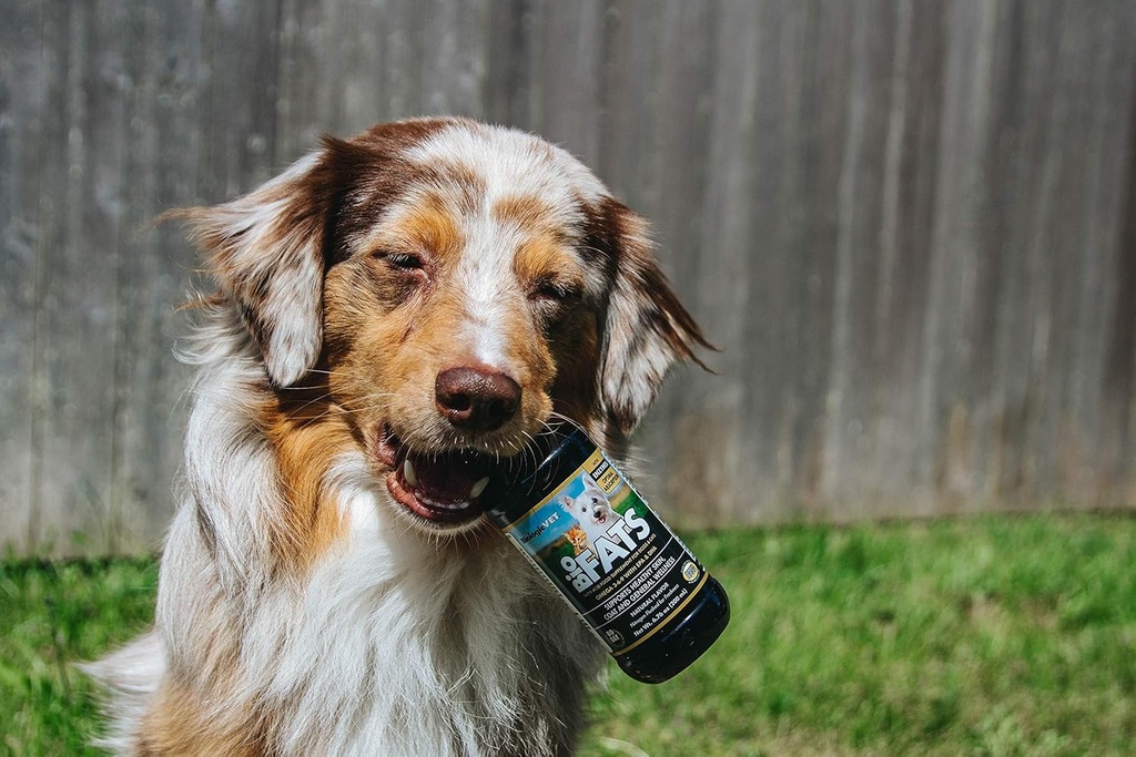 BiologicVET BioFATS - Contains Omegas 3, 6 & 9 - with EPA, DHA & ALA - for Dog & Cat - Skin & Joint Health Support - Includes Fish, Flaxseed & Olive Oil - 12 fl. oz. 6