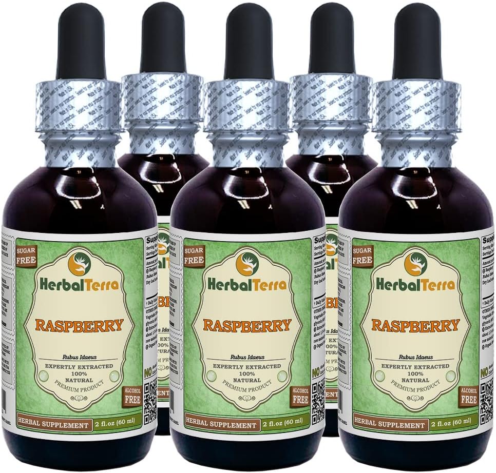 Raspberry (Rubus Idaeus) Glycerite, Organic Dried Leaves Alcohol-Free Liquid Extract (Brand Name: HerbalTerra, Proudly Made in USA) 2x2 fl.oz (2x60 ml) 4