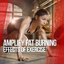 ALPHA LION Gains Candy, Supplement Pills That Support Weight Loss, Appetite Suppressant, Keto-Diet Friendly, Decrease Body Fat, Upgrade Energy & Workout Performance, 60 Capsules (MitoBurn®) 5