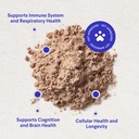 Wonder Paws Immune Support Mushroom Powder for Dogs – Organic Mushroom Complex for Immunity, Cognition, Cellular Health, Longevity - With Turkey Tail Mushroom for Dogs, Reishi & Lions Mane – 90 Scoops 5