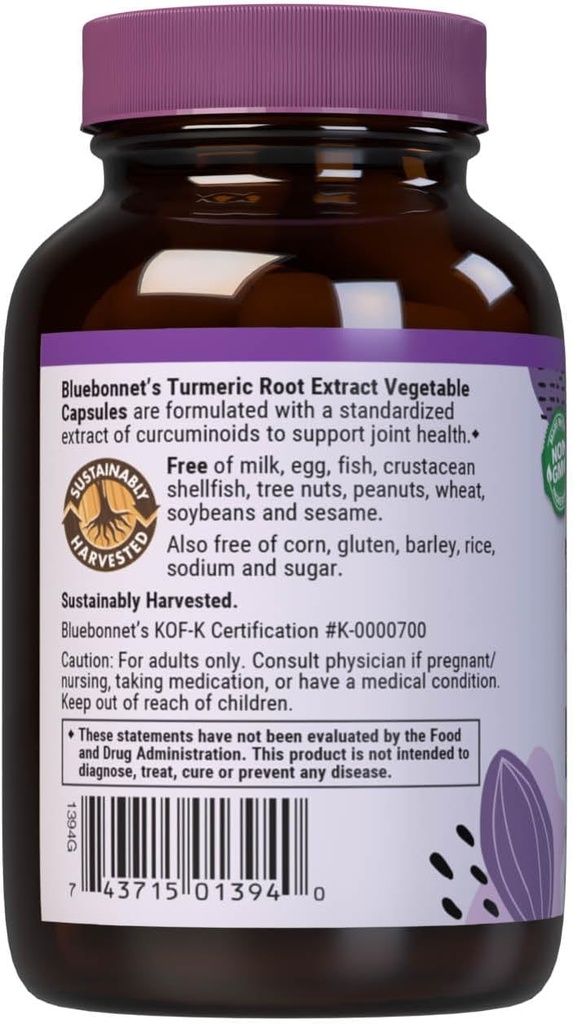 BlueBonnet Turmeric Root Extract Supplement, 60 Count 6