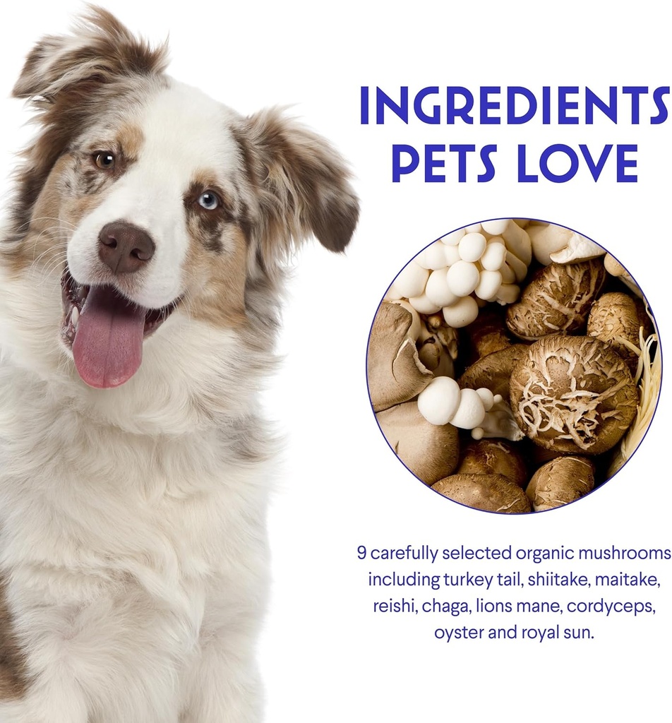 Wonder Paws Immune Support Mushroom Powder for Dogs – Organic Mushroom Complex for Immunity, Cognition, Cellular Health, Longevity - With Turkey Tail Mushroom for Dogs, Reishi & Lions Mane – 90 Scoops 6