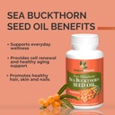 SEABUCKWONDERS Sea Buckthorn Seed Oil, Made with Organic Sea Buckthorn, 60 Count Softgels (Pack of 2) 3