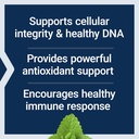 Life Extension X-R Shield, spirulina, Lemon Balm, Ginkgo biloba, Supports Cellular Integrity & DNA Health, Encourages Healthy Immune Response, Gluten-Free, Non-GMO, Vegetarian, 90 Capsules 5