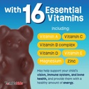 YUM-V'S - Kids Multivitamin Chewable Chocolate Bears - Multivitamin for Kids Supplement - 16 Vitamins & Minerals - Vitamins Including D, Zinc, C, B Complex & More, 60 Count (Pack of 2) 4