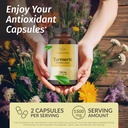 HERBAMAMA Curcumin Turmeric Capsules - 1500mg Curcuma Longa and Black Pepper Extract for Uric Acid & Digestive Support - Vegan, Non-GMO Turmeric Antioxidant Supplement, 250 Caps 3